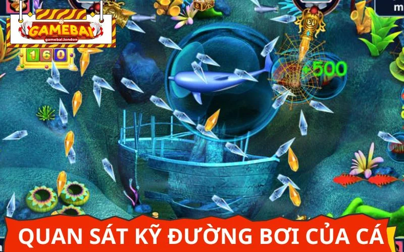 Quan sát đường di chuyển của cá để tăng tỷ lệ bắn trúng