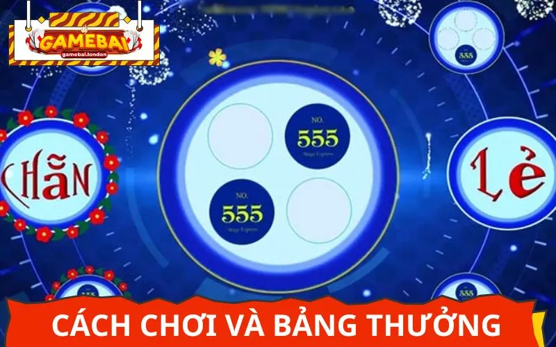 Cách chơi Xóc đĩa cơ bản, đơn giản cho người mới bắt đầu