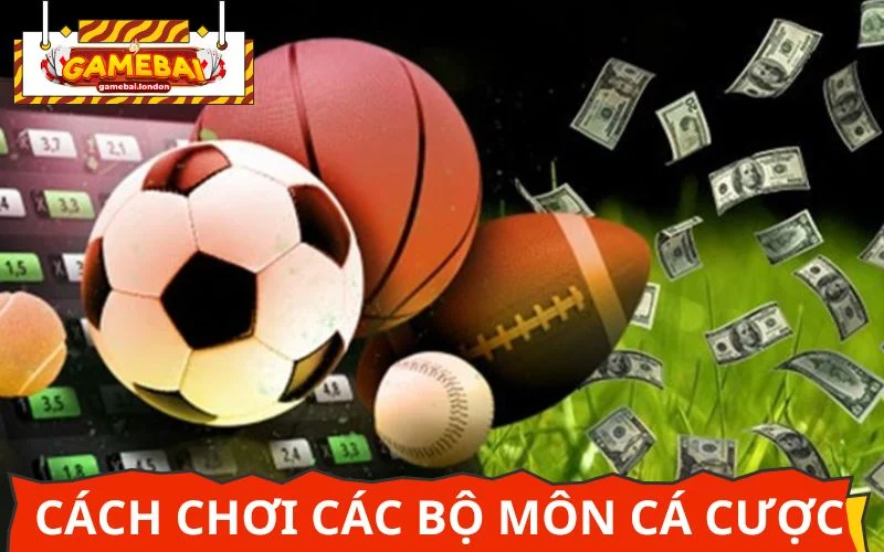 Cung cấp những thông tin hữu ích cách cá cược của từng thể loại